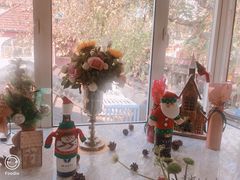 -蝶舍·MAISON PAPILLON