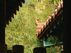 -正觉寺