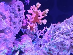 -海合安武汉极地海洋公园