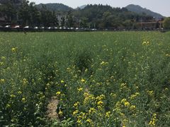 -红山村