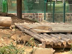 -秦皇岛野生动物园