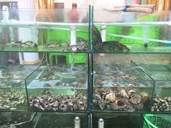 水产区-四海鲜渔家菜(黄金海岸店)