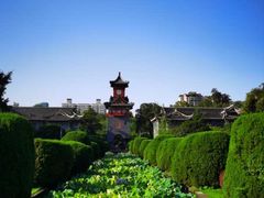 -四川大学(华西校区)