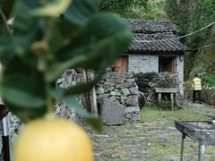 -MOJ coffee(瓯海泽雅水碓坑店)