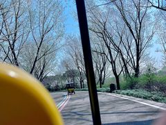 -同里国家湿地公园