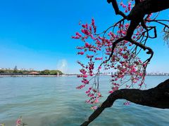 -无锡蠡湖国家湿地公园-蠡园