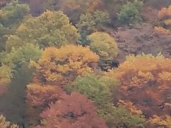 -黎坪国家森林公园