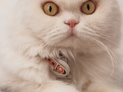 -拜鲁耶动物诊疗中心·宠家动物医院