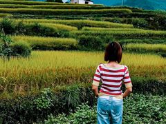 -公盂村