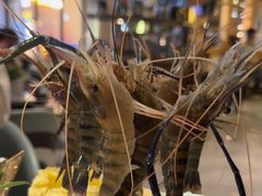 -阿杜打边炉(五江天街店)