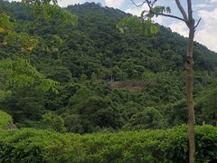 -火炉山森林公园