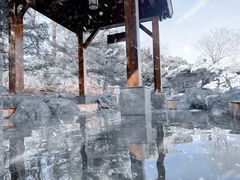 -和园景逸大酒店朗月汤泉