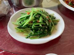 -蜀香园川菜馆(巴音酒店店)
