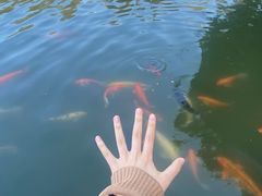 -珠海圆明新园