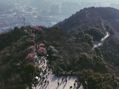 -杭州半山国家森林公园