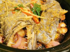 -人间酒暖·Go blanc·烧鸟·深夜食堂(陆家嘴店)
