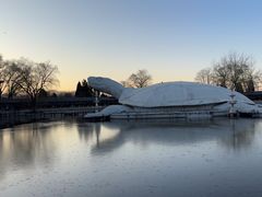 -东方巨龟苑景区