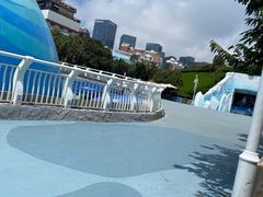 -海合安青岛极地海洋公园