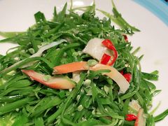 -全聚德(蓝山店)