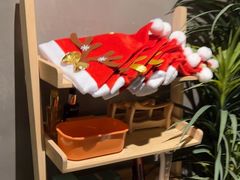 -施奈儿.洗头頭療.按摩SPA.采耳(上梅林店)