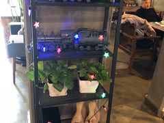 -HIGH FIVE哈福手工汉堡(桂林路店)