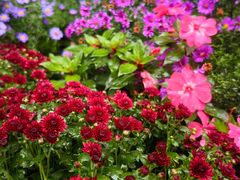 -国家植物园南园