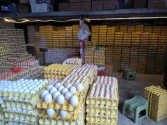 -西北农副产品中心批发市场(广安路店)