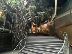-武汉园博园(武汉自然博物馆)