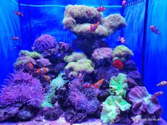 -多彩贵州城极地海洋世界