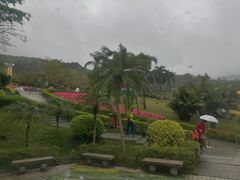 -沙河粉村·国家非遗传承(云台店)