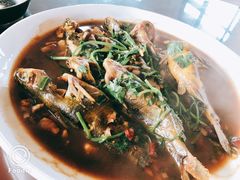 -杨辉饭店