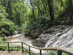 -莫里热带雨林景区