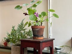 -知亘茶食