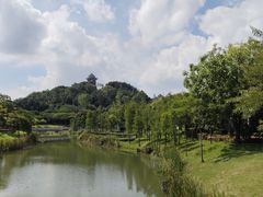 -王借岗森林公园