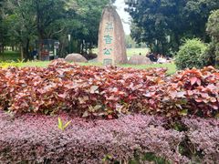 -荔香公园