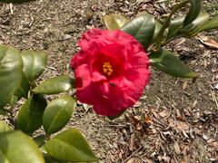 -梁鸿国家湿地公园