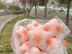 -渔珺石锅鱼·云南菜(天泽街店)