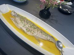 白鱼虾籽椒麻蒸-江南雅厨·江南文化·苏州菜(李公堤店)