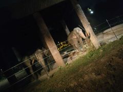 -清迈夜间动物园