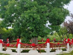 -董永七仙女文化园