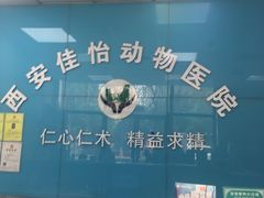 -佳怡动物医院·平价24小时·猫专科骨外科