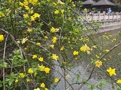 -桂林公园(地铁站)