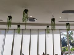 -亚特兰蒂斯-番红花海鲜自助餐厅·鲜活海鲜·小火锅