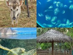 -福州罗源湾海洋世界旅游区