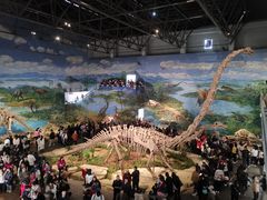 -自贡恐龙博物馆