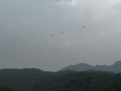 -孔雀湖生态旅游区