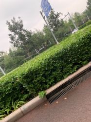 -HEYAN长风荷妍专业脱毛美肤
