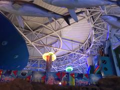 -烟台海昌鲸鲨海洋公园