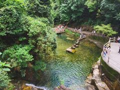 -鼎湖山风景区