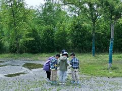 -南汇嘴观海公园